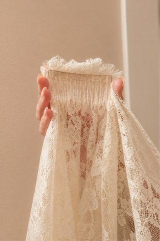 Velo Novia Pronovias Encaje Blanco