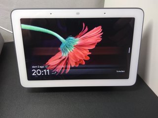 Google Nest Hub
