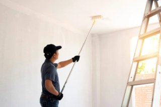 PINTOR PROFESIONAL CASAS LOCALES