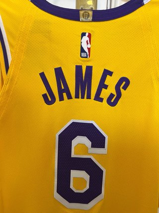 Camiseta NBA Lakers LeBron James #6