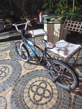 Bicicleta BMX Flite Punisher 20