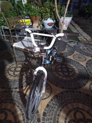 Bicicleta BMX Flite Punisher 20
