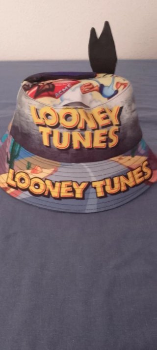 Gorro Lona Coyote y Correcaminos Multicolor