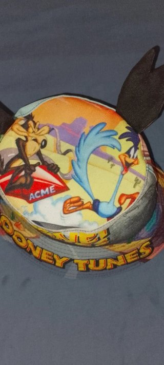 Gorro Lona Coyote y Correcaminos Multicolor