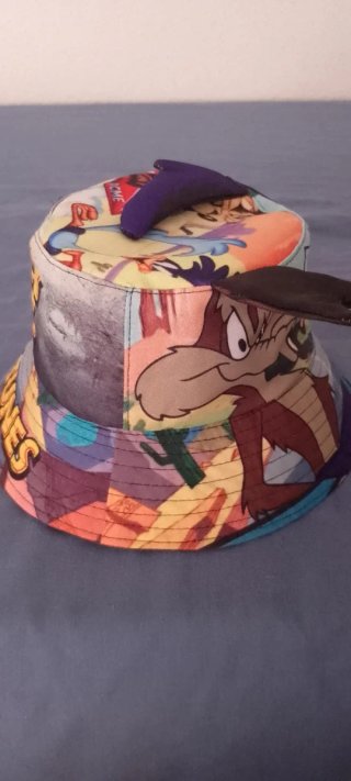 Gorro Lona Coyote y Correcaminos Multicolor