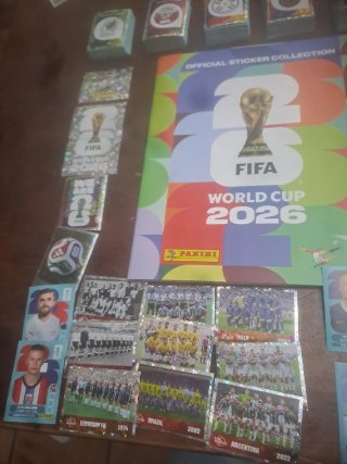 Lote cromos Panini Mundial