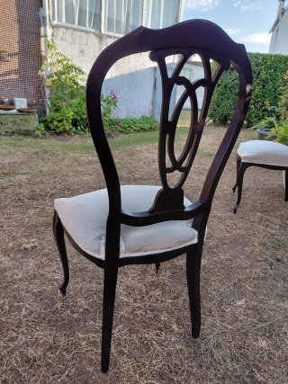 6 Sillas Vintage