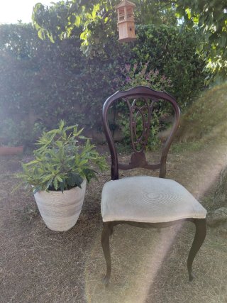 6 Sillas Vintage