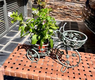 Bicicleta Forja Porta Macetas