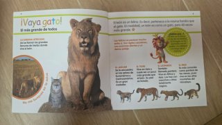 Libros infantiles: Mis animales favoritos