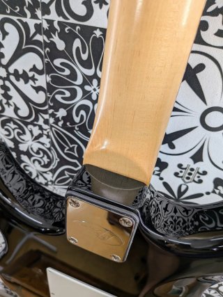 Peavey Raptor Plus EXP HSS Restaurada
