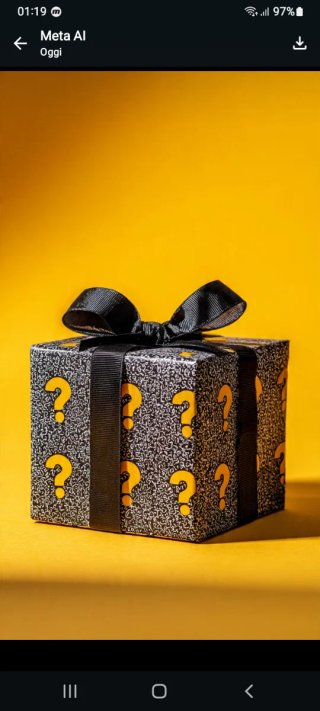 Mystery Box Abbigliamento Donna XS/S