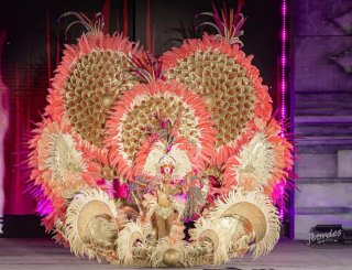 Estructura de hierro para traje de carnaval