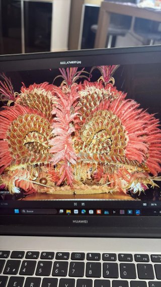 Estructura de hierro para traje de carnaval