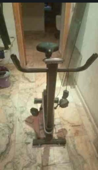 Plataforma vibratoria profesional