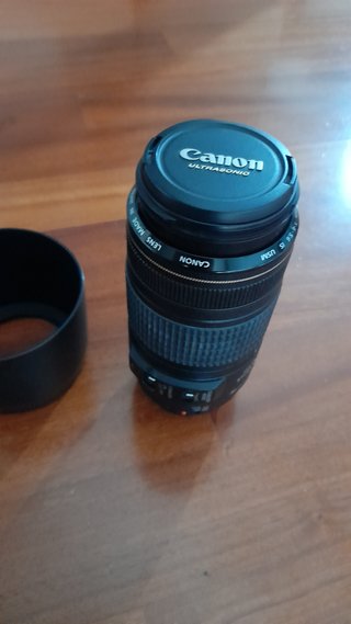 Obiettivo CANON EF70-300mm 1:4,5-5,6 IS USM ULTRA