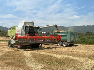 Corte Cereal Claas C750 para Lexion