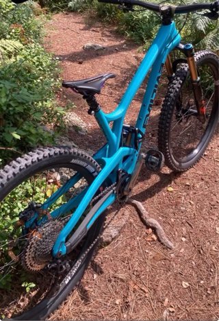 Offering Carbono Taglia M 29