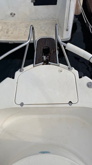vendo o cambio pesca paseo barco