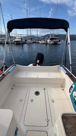 vendo o cambio pesca paseo barco
