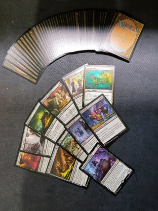 MTG Magic: The Gathering