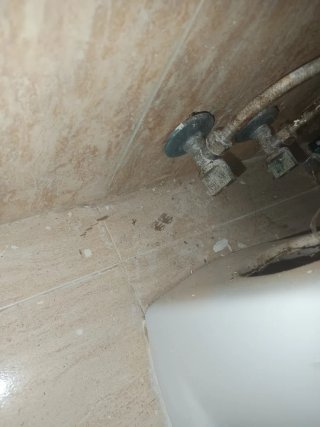 Limpieza Fin de Obra y Pisos (HOY)