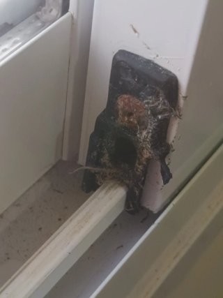 Limpieza Fin de Obra y Pisos (HOY)