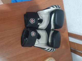 Guantes de Boxeo El Bronx 10 oz.