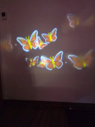 Proyector LED 12 Diapositivas Intercambiables
