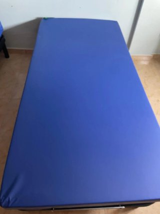 Cama articulada hospitalaria