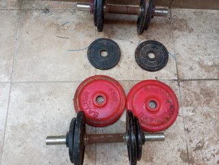 Pesas y discos de gimnasio