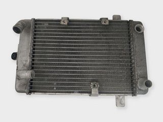Radiador De Agua Suzuki Burgman 250 400 (2003-2006