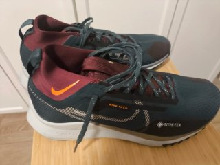 Nike React Pegasus Trail 4 Gore-Tex