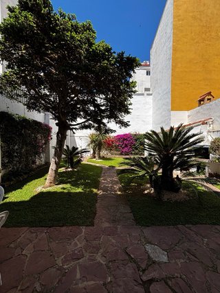 Desbroces, podas, talas , perfilados y jardineria