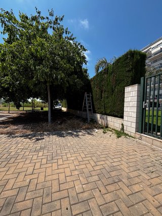 Desbroces, podas, talas , perfilados y jardineria