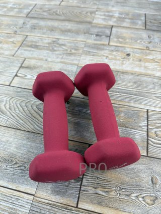 Juego de 2 mancuernas - SONGMICS
