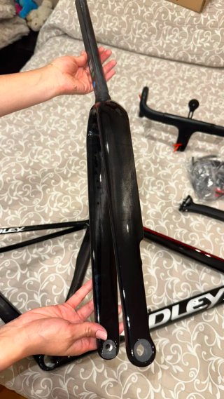 Kit Cuadro Ridley Falcn RS