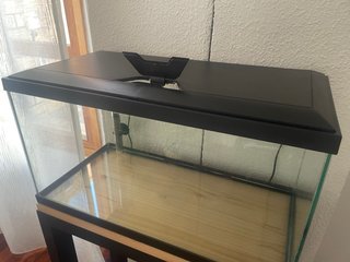 Pecera grande de 60 litros