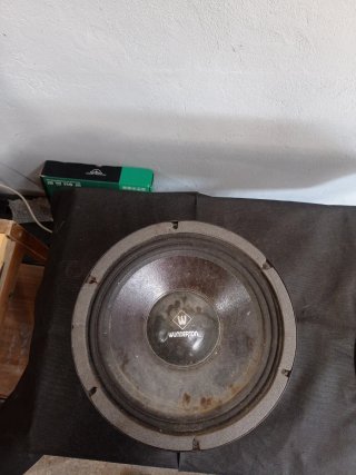Altavoz Wunderton 10" Generico