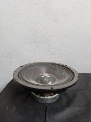 Altavoz Wunderton 10" Generico