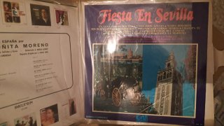 Discos de vinilo