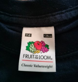 2 Camisetas niño Fruit of the Loom