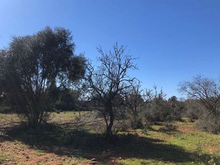 Terreno en venta en Porreres
