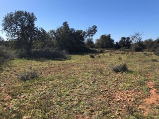 Terreno en venta en Porreres