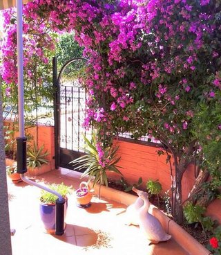 Casa en venta en Centro en Gandia