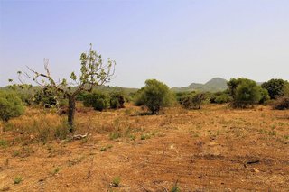 Casa rural en venta en Artà en Artà