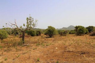 Casa rural en venta en Artà en Artà