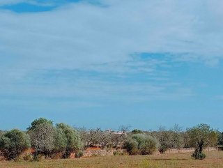 Solar en venta en Santanyí en Santanyí