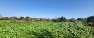 Terreno en venta en Campos