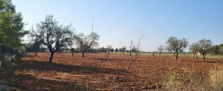 Terreno en venta en Campos